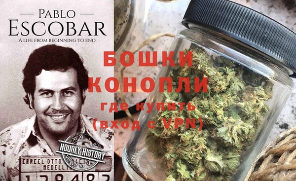 эйфоретик Покачи
