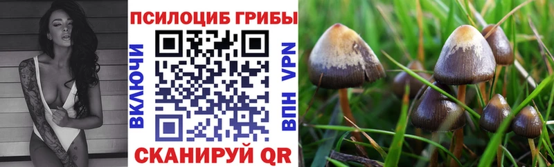 продажа наркотиков  Усть-Джегута  Галлюциногенные грибы ЛСД 