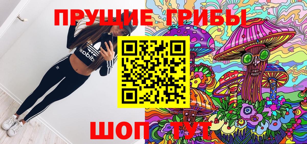 Галлюциногенные грибы Cubensis  Вход с VPN  Усть-Джегута 